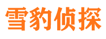 盐边外遇调查取证